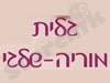 גלית מוריה שלגי