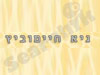 גיא חיימוביץ 
