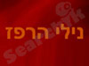 נילי הרפז