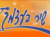 שיר בעצמך 