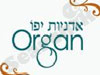 אדניות יפו