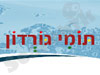 תומי גורדון פתרונות אינטרנט 