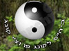צ'י קונג פו 