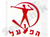 ויקי הפועל 