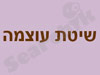 שיטת עוצמה 