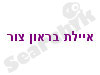 הסטודיו של איילת בקורנית 