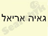 גאיה אריאל - פנג שואי 