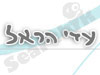 עדי הראל הכנה ללידה 