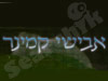 אבישי קמינר הומאופתיה קלאסית