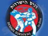דניס הישרדות ג`י-ג`יטסו