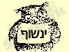 ינשוף 