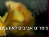 צימרים אביבים לאוהבים 