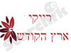 רייקי ארץ הקודש 
