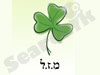משרד עורכת הדין אדליה סולברג  