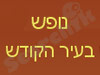 נופש בעיר הקודש