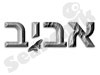 אביב המנקה