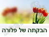 צימר הבקתה של פלורה