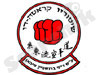 מכון הקראטה 