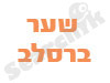 שער ברסלב - חנות