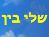 שלי בין הומאופתיה - הבחירה הבריאה
