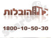 לוי ובניו הובלות