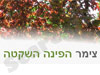 צימר הפינה השקטה 