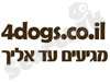 4dogs.co.il