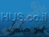 HUS - פורום סטודנטים באוניברסיטת חיפה