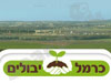 כרמל יבולים
