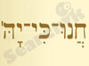 חנוכיה 
