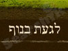 צימר לגעת בנוף