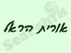 אורית הראל 
