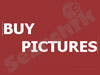 buy pictures