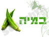 במיה - צילום אומנותי