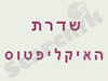 צימר שדרת האיקליפטוס