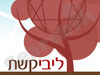 ליבי קשת