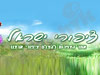 ציפורי ארץ ישראל