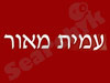עמית מאור