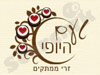 טעם היופי