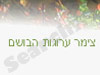 צימר ערוגות הבושם