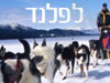 הארניבה 