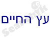 אילן שייט - עץ החיים