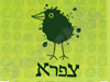 צפרא