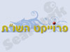 פרוייקט השו``ת