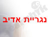 נגריית אדיב