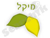 מיקל קייטרינג 