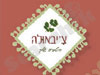 צ`יבאולה 