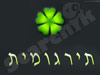 תירגומית 