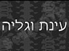 עינת וגליה צילום אירועים