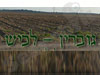 מרחב גוברין - לכיש